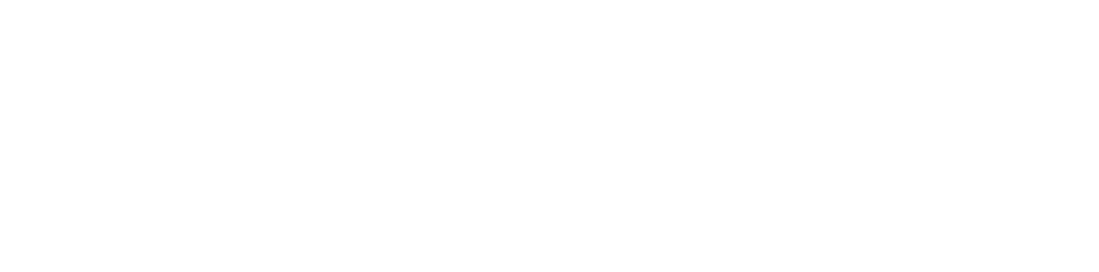Eleesia oy